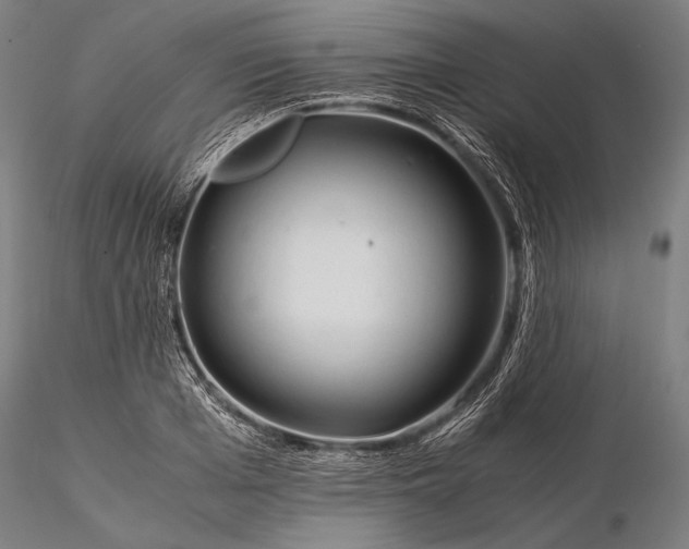 X0000116390985200912161520