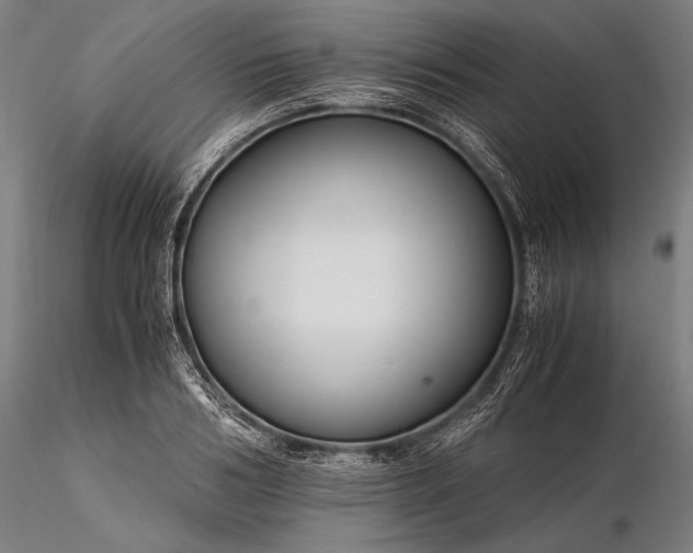X0000116390986200912161520