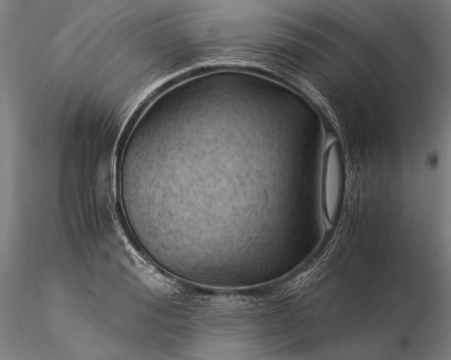 X0000116390988200912161520