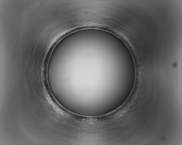 X0000116390991200912161520