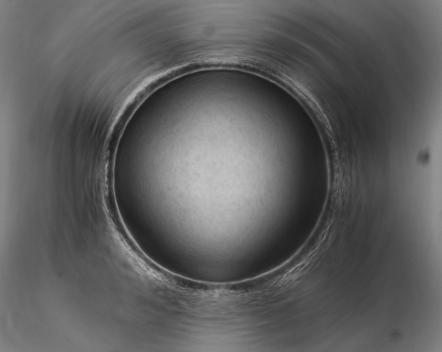 X0000116390992200912161520