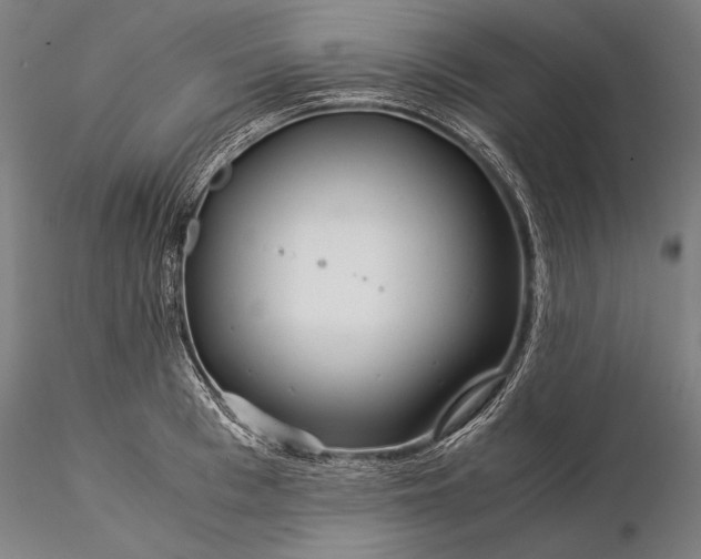 X0000116390993200912161520