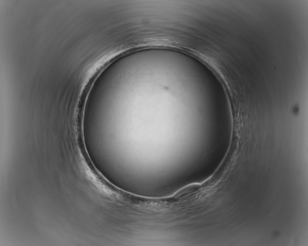 X0000116390995200912161520