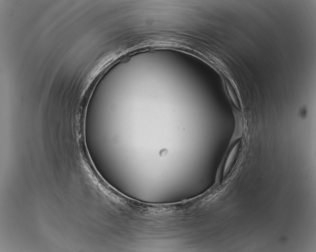 X0000116390997200912161520