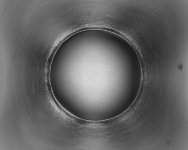 X0000116390998200912161520