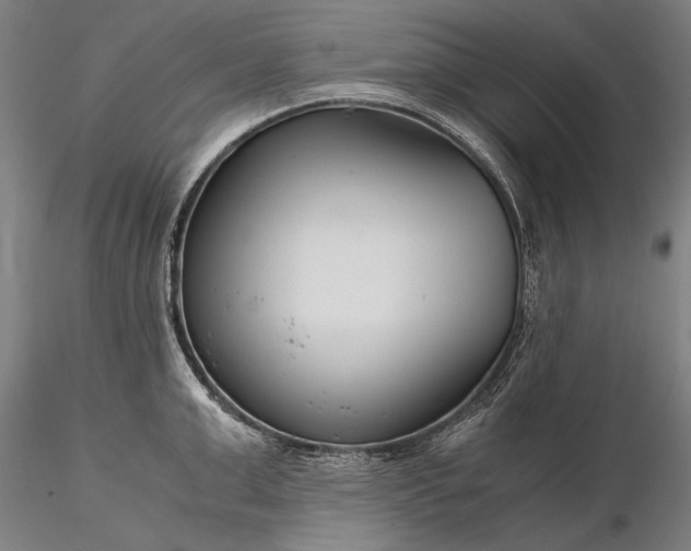 X0000116390999200912161520