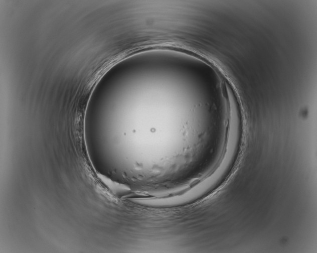 X0000116391001200912161520