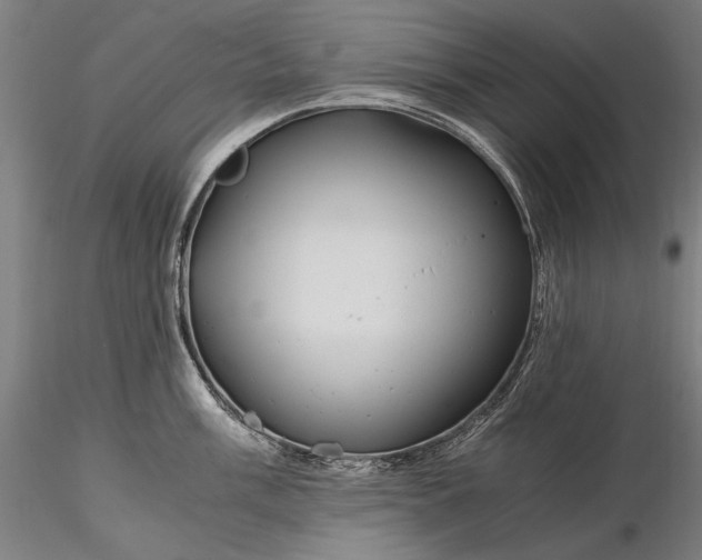 X0000116391003200912161520