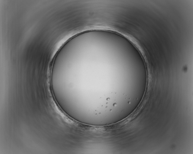 X0000116391006200912161520