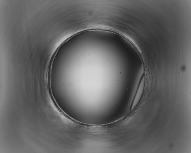 X0000116391007200912161520