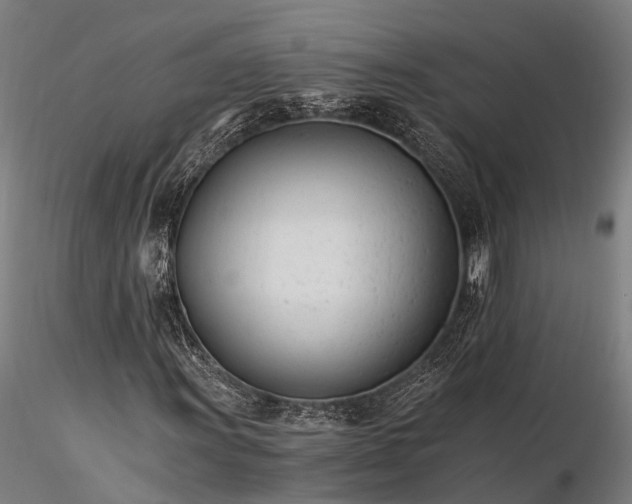 X0000116391011200912161519