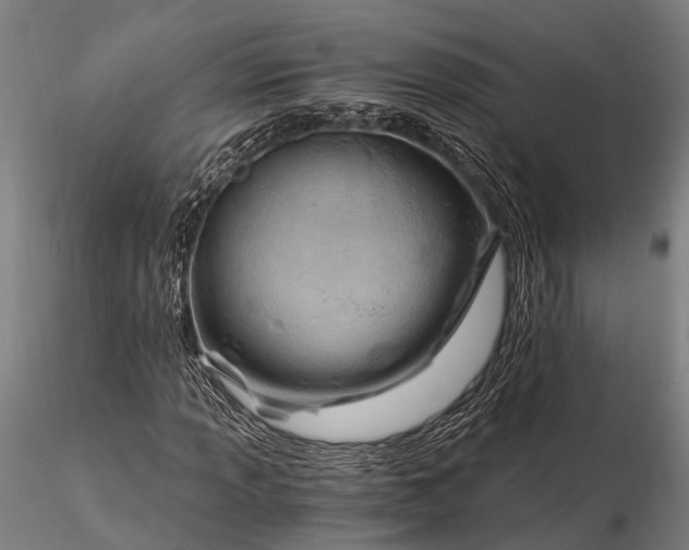 X0000116391013200912161519