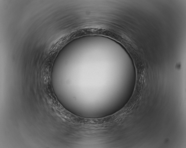 X0000116391014200912161519