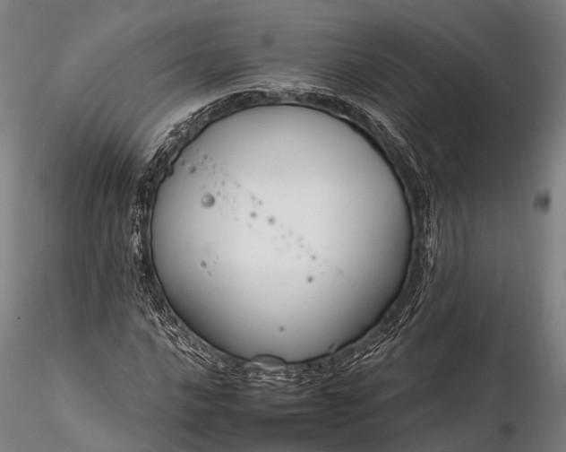 X0000116391016200912161519