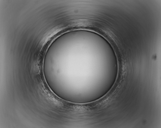 X0000116391018200912161519