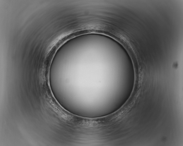 X0000116391019200912161519