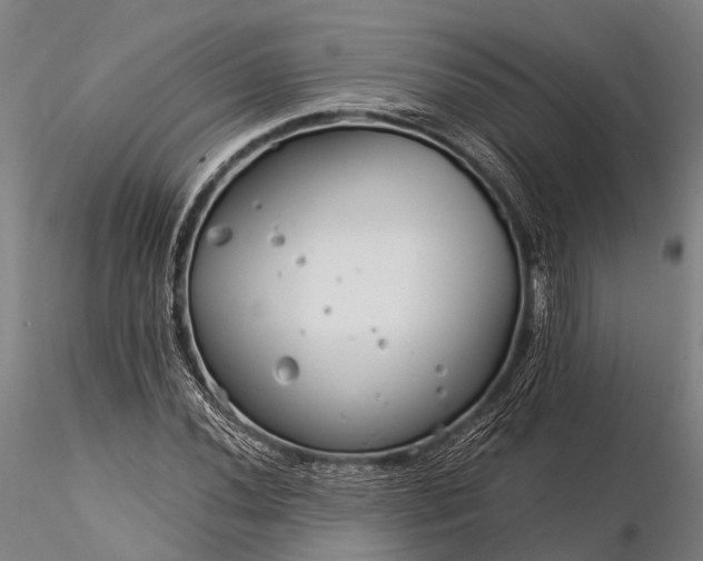 X0000116391020200912161519