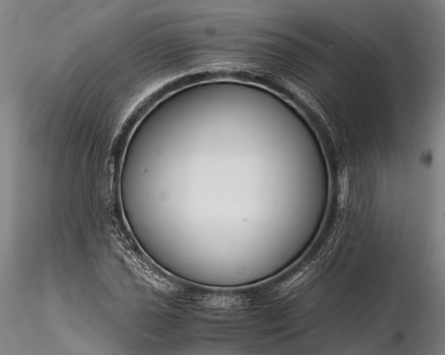 X0000116391021200912161519