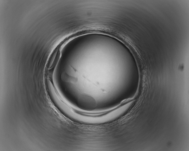 X0000116391024200912161519