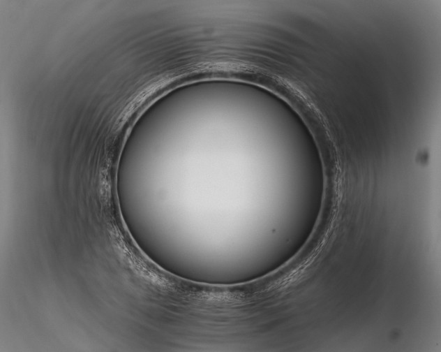 X0000116391025200912161519