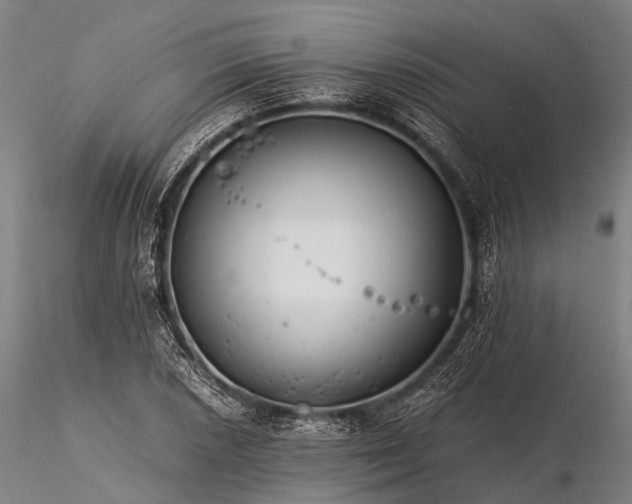 X0000116391026200912161519