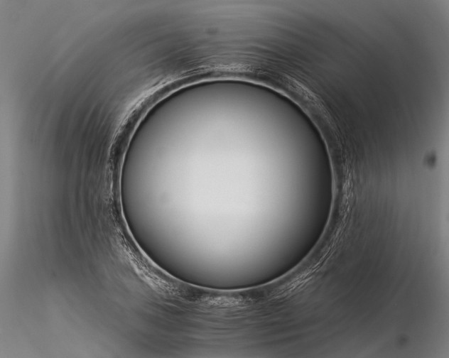 X0000116391027200912161519