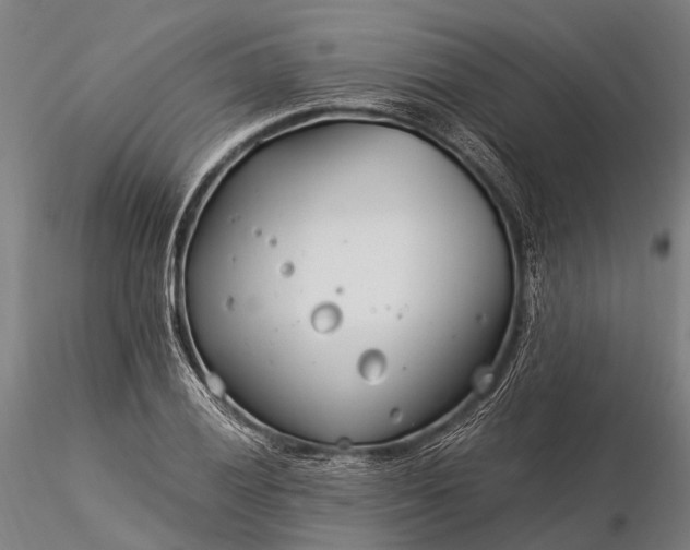 X0000116391028200912161519