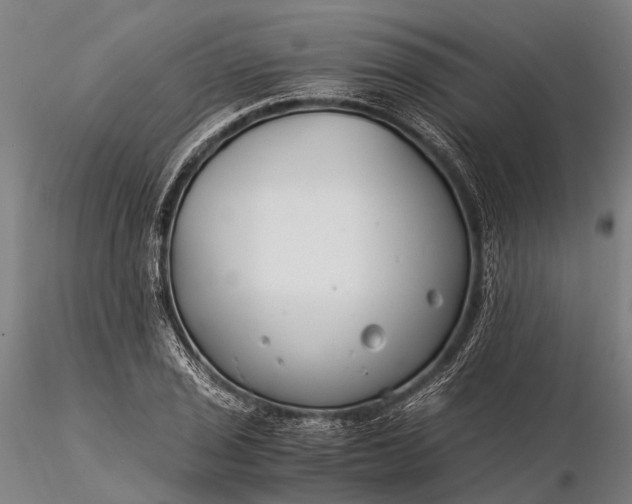 X0000116391029200912161519