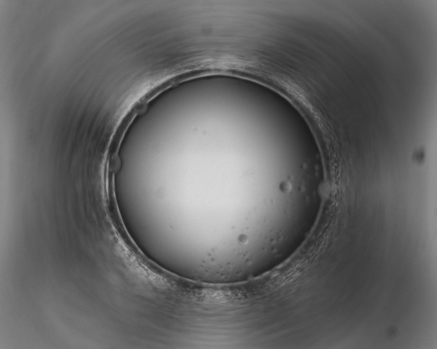 X0000116391032200912161519