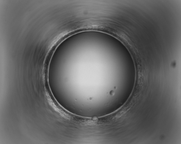 X0000116391038200912161519