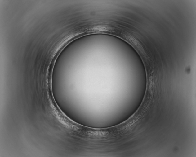 X0000116391039200912161520