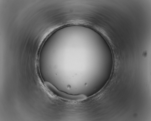 X0000116391040200912161520