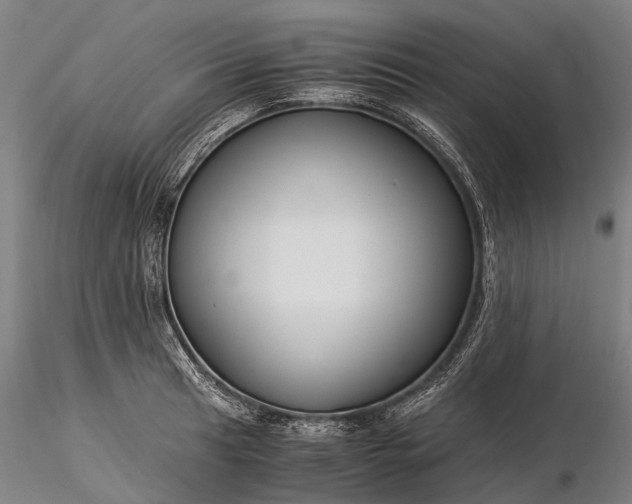 X0000116391041200912161520