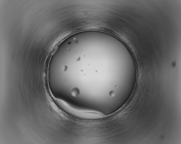 X0000116391042200912161520