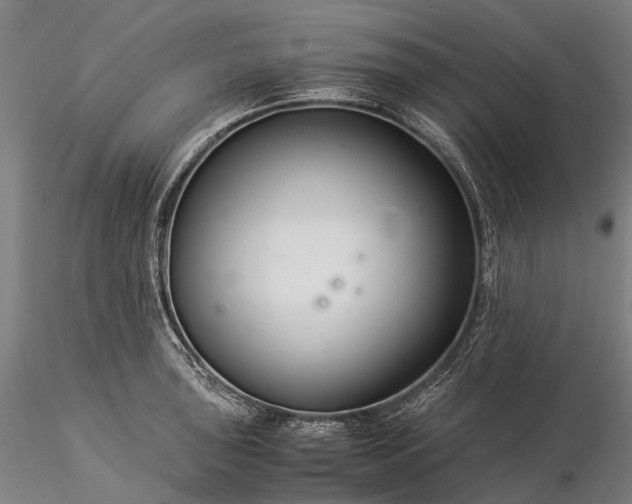 X0000116391043200912161520