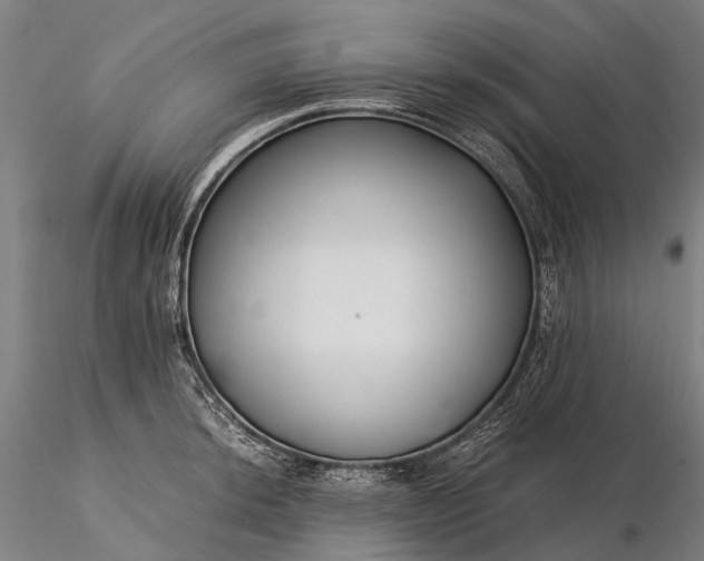 X0000116391044200912161520