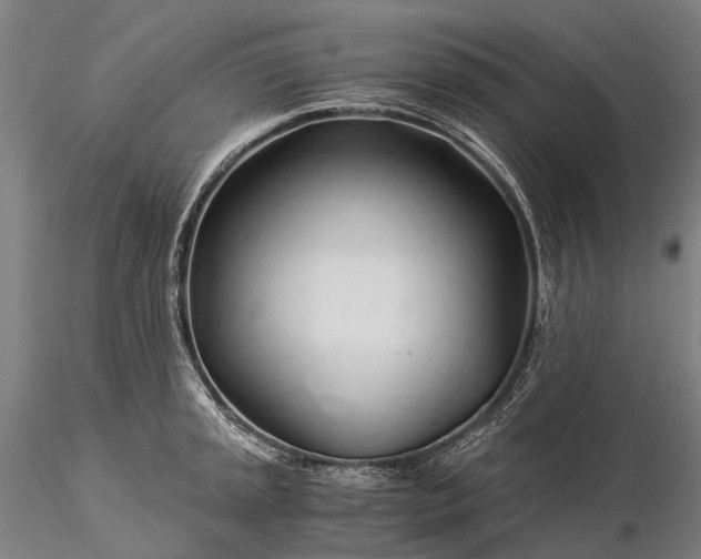 X0000116391045200912161520