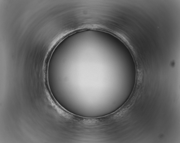 X0000116391046200912161520