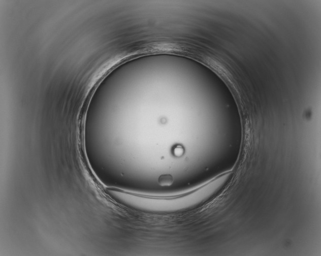 X0000116391047200912161520