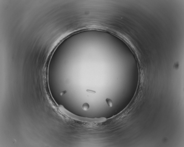 X0000116391048200912161520