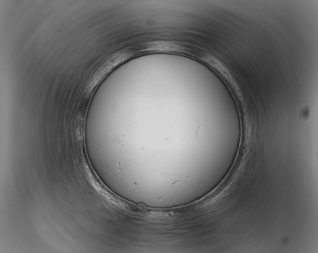 X0000116391049200912161520