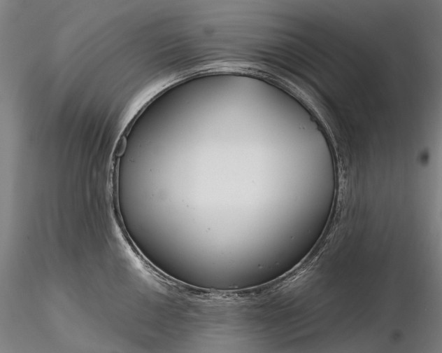 X0000116391050200912161520