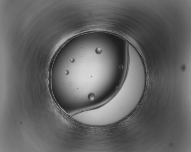 X0000116391051200912161520