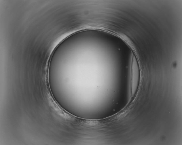X0000116391052200912161520