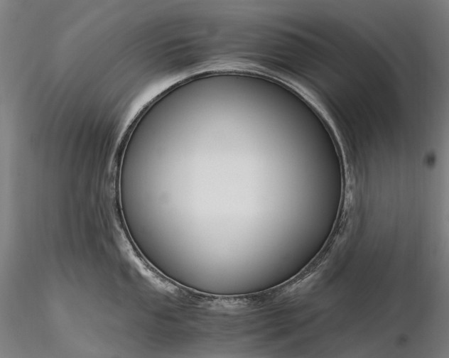 X0000116391053200912161520