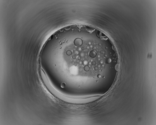 X0000116391056200912161520