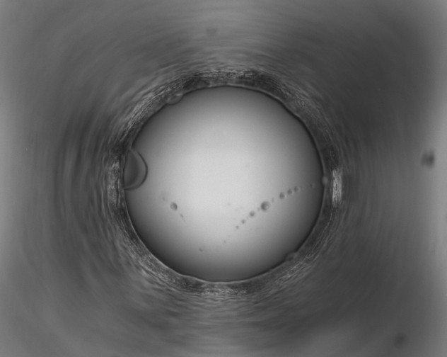 X0000116391059200912161519