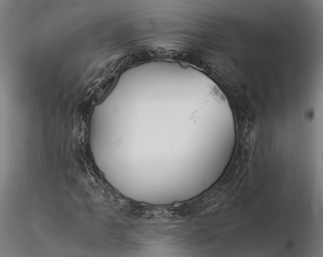 X0000116391061200912161519