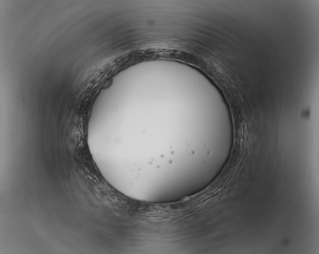 X0000116391062200912161519