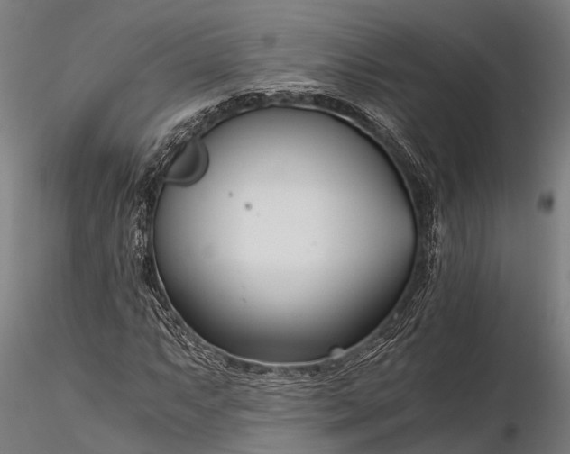 X0000116391063200912161519